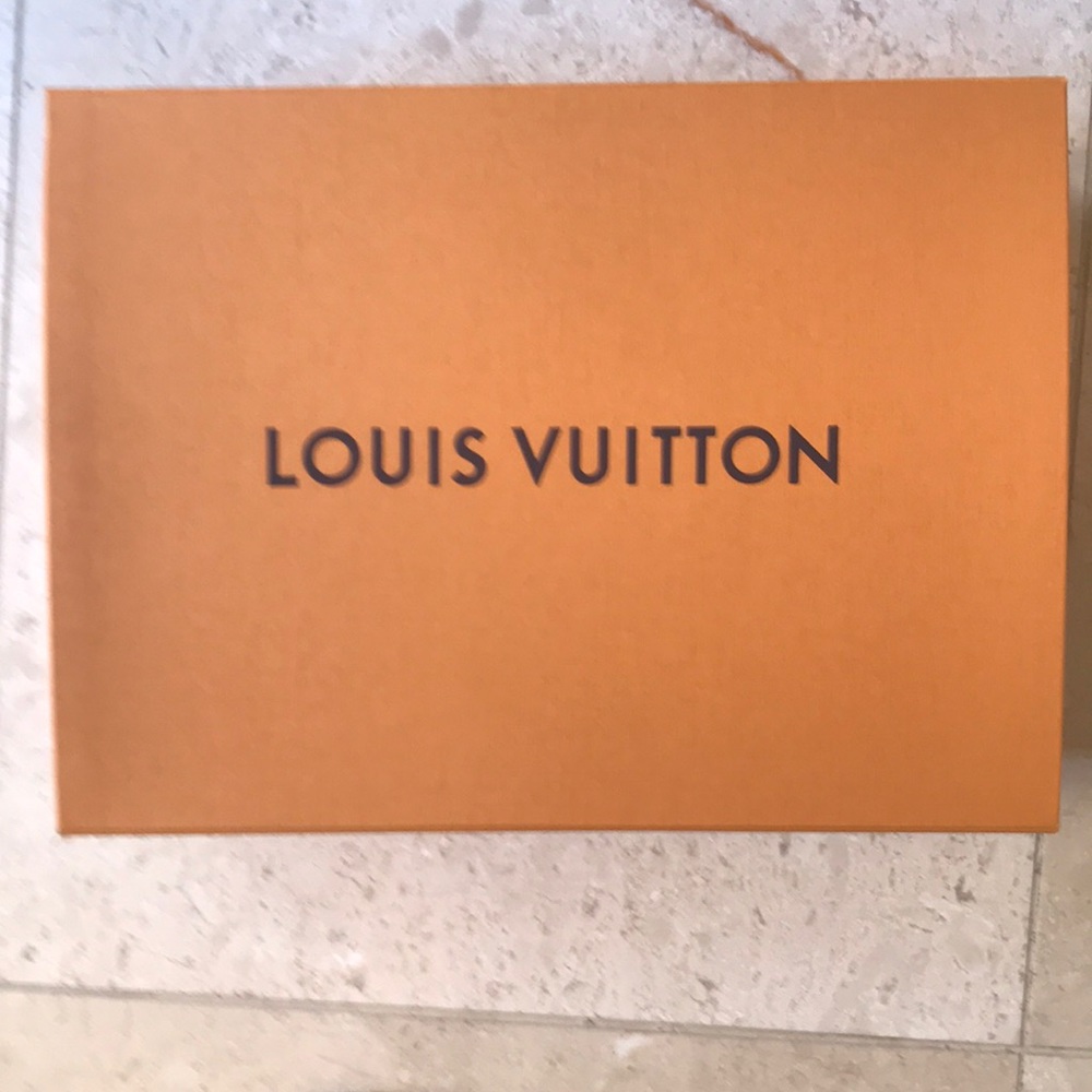 LOUIS VUITTON Hand bag & shoe box brand new